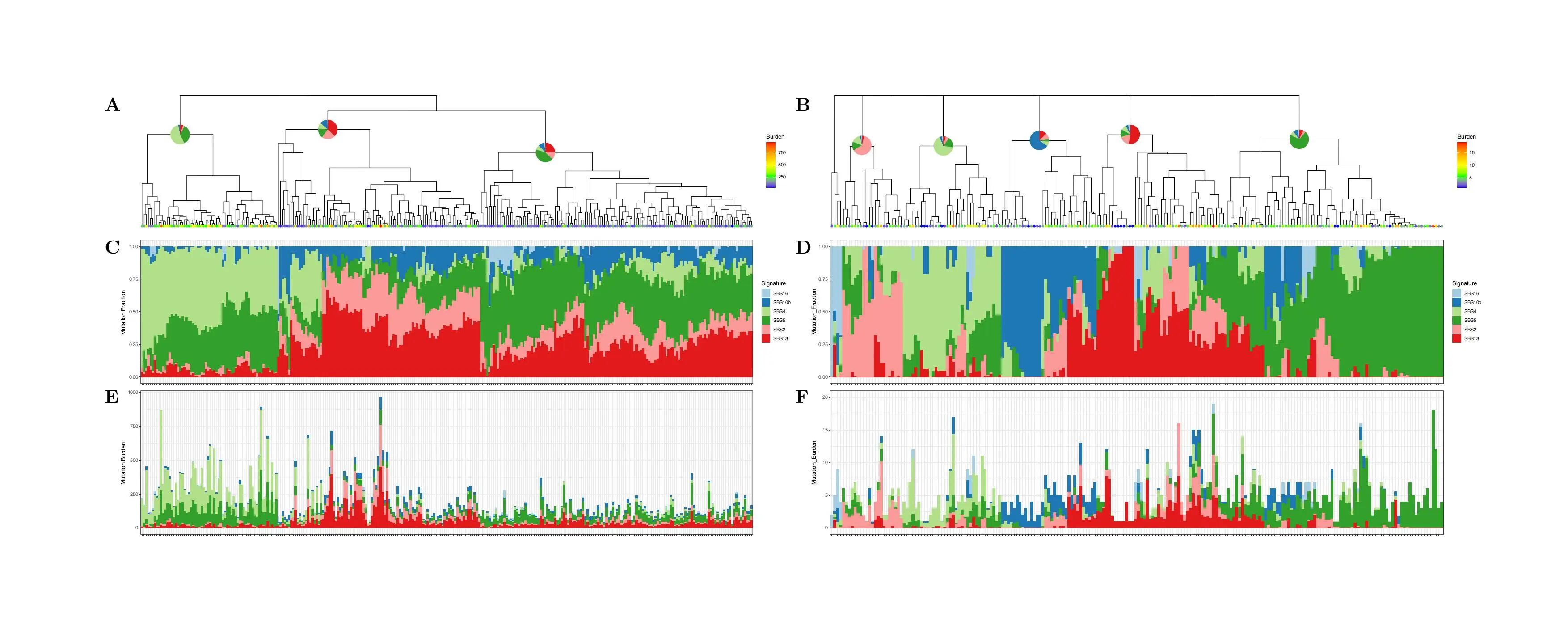 1772098833617436.jpg 1-3.jpg