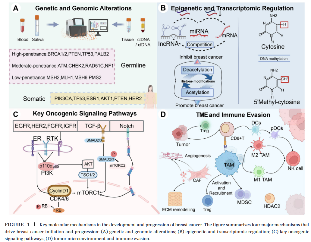 1773018906444750.png 1-2.png