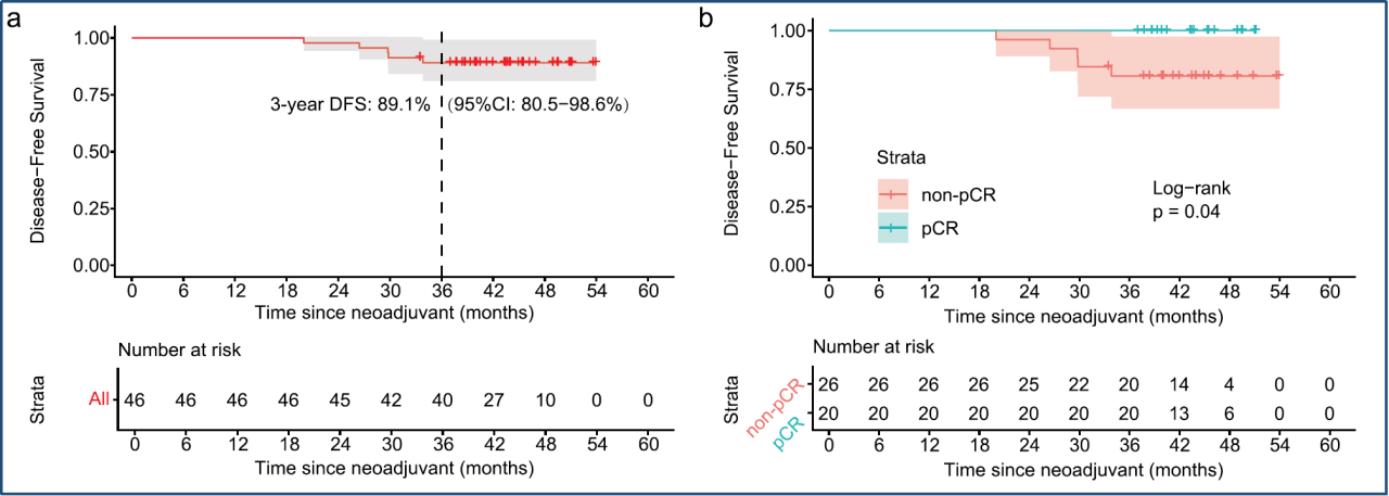 1775552842115763.png 1-4.png