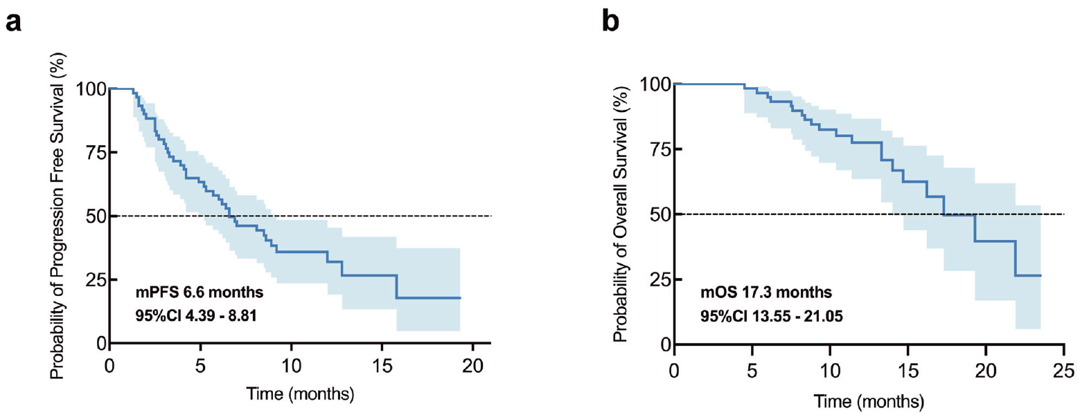 1776158866331624.png 1-5.png