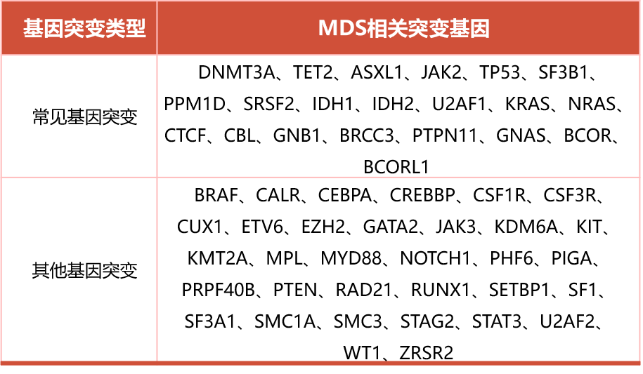 1787303955186470.png 李冰MDS基因突变.png